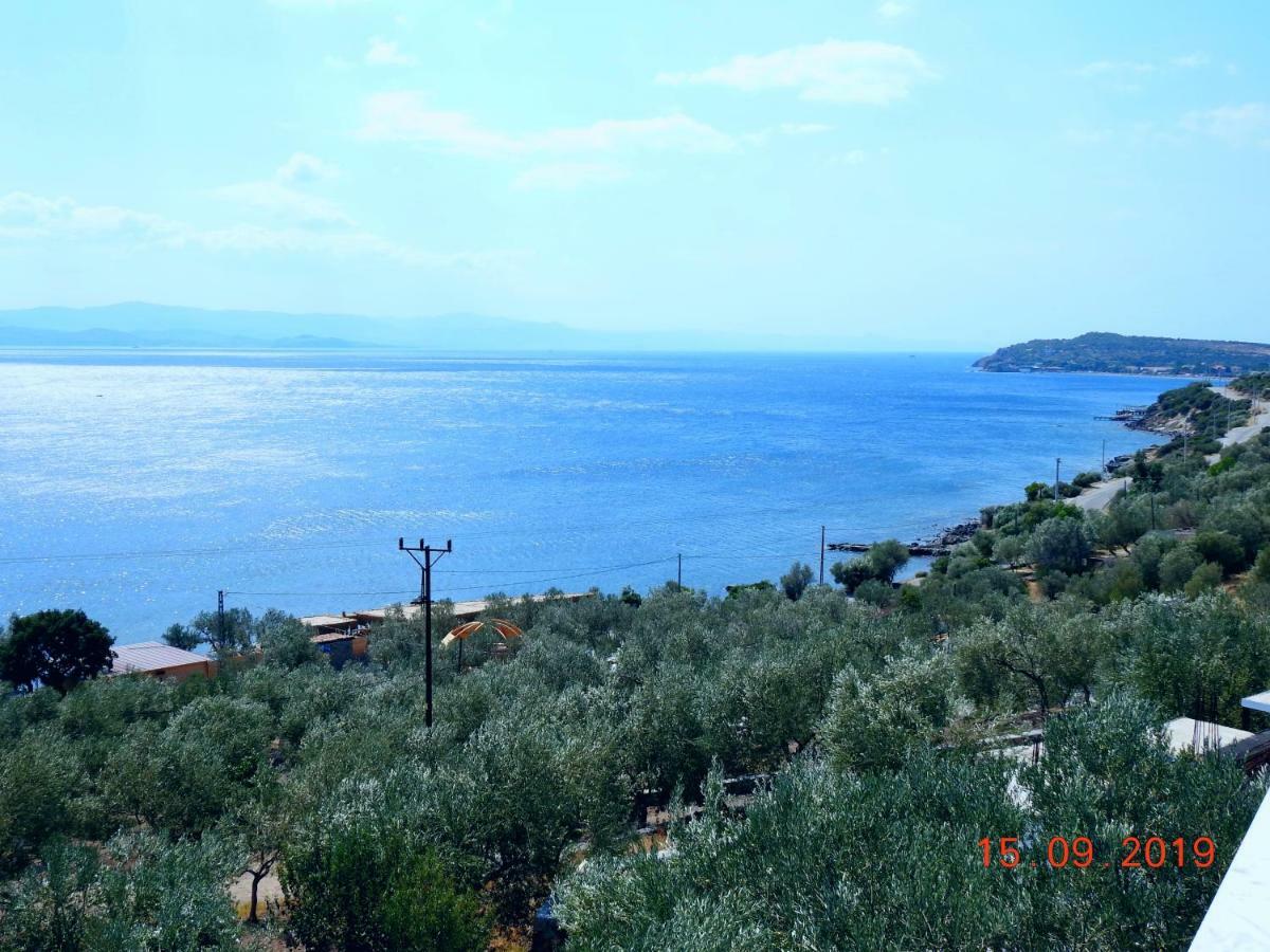 Assos Nazan Motel Restoran Beach Sokakagzi 외부 사진
