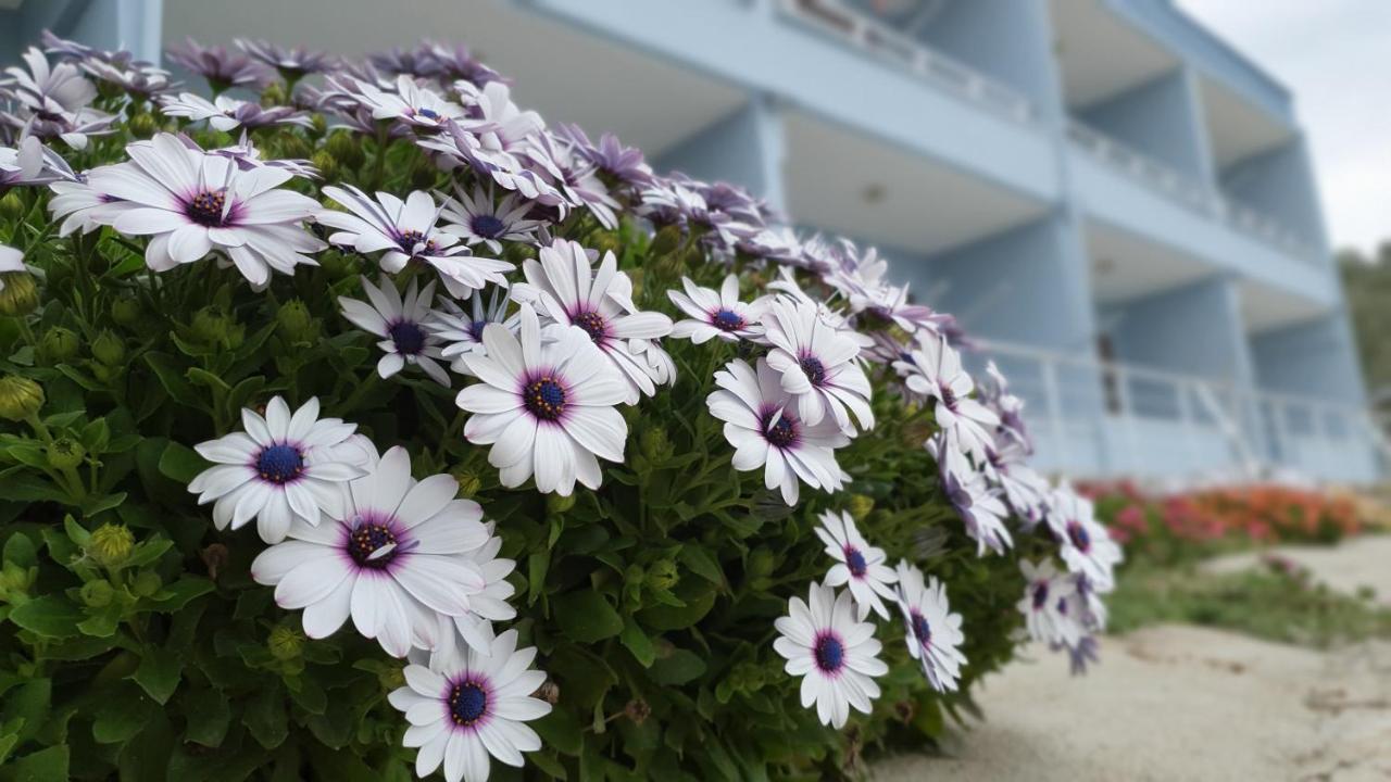 Assos Nazan Motel Restoran Beach Sokakagzi 외부 사진
